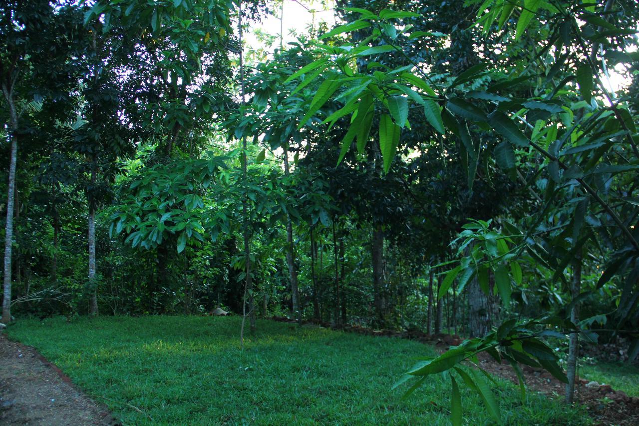 Abberny Villa Midigama Exterior photo